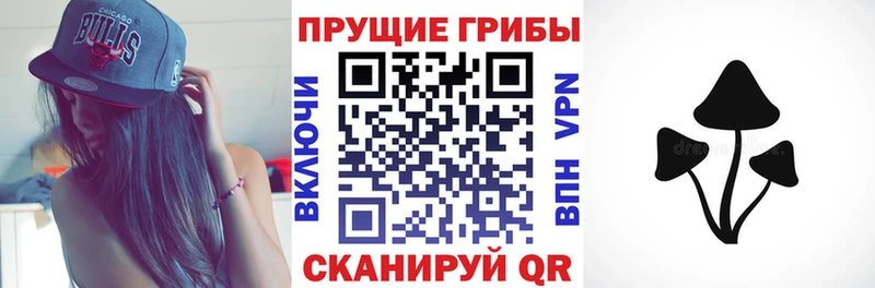 Псилоцибиновые грибы MAGIC MUSHROOMS  Себеж 